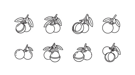 Hand drawn line art fruit collection featuring peaches plums and citrus varieties isolated vector