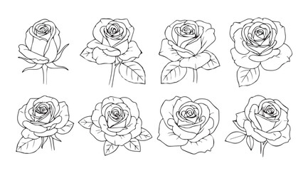 Collection of delicate hand drawn rose sketches beautifully rendered for artistic projects and designs vector