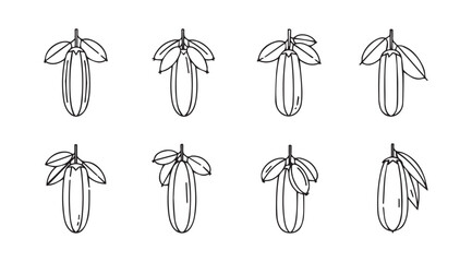 Collection of hand-drawn cocoa pods with leaves artistic sketch collection natural ingredients organic food vector