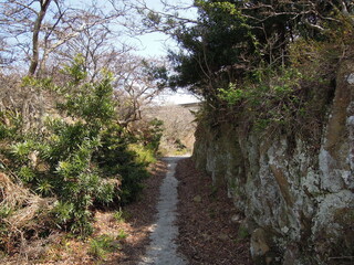 Abandoned Brick Fortifications and Tunnels on Tomogashima Island, Wakayama, Japan, Historic Coastal Defense Ruins Surrounded by Nature