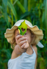 Leaf heart child in the garden. Selective focus.