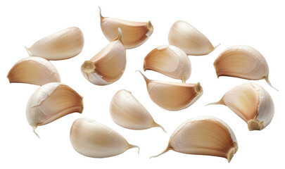 A pile of small, light-colored shells on a , garlic, lamp, onion, seashell, shell, snail 