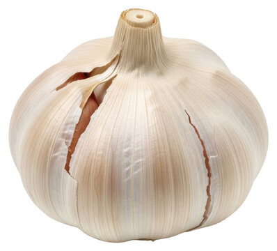 A close-up of a bulb of garlic on a , crack, food, garlic, lamp, onion, tear, white 