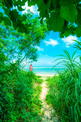  緑のトンネルを抜けると広がる石垣島の美しい海の風景