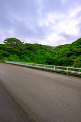  緑あふれる山々と道路が美しい石垣島の自然豊かな風景
