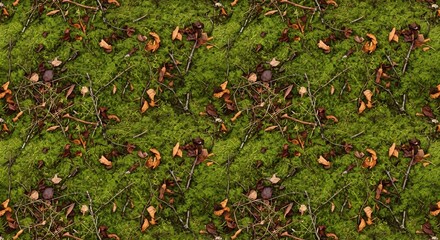 Detailed Overhead View of Forest Floor with Green Moss and Debris.