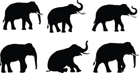 Elephant silhouette vector set, black animal shapes, walking and sitting poses, wildlife icons, isolated elephant design, white background illustration