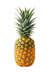 A whole, perfectly ripe pineapple, bright yellow textured skin, vibrant green leafy crown, standing upright on a transparent background with copy space. Concept for tropical fruit advertising