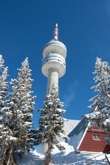 Ski resort Pamporovo in the Rhodopes mountains in Bulgaria