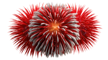 Radiant Fireworks Display: An artistic burst of vibrant colors illuminates the night sky, creating a spectacle of joy and celebration. Evoking a sense of wonder and excitement.