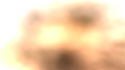 Abstract background: Morning sunlight through a flowering papaya tree in a backyard. Gradient of gray, yellow, and light brown. Central Thailand. Palm trees, sky, nature, blue, tropical, green, trees,