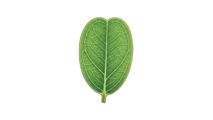 Obraz premium Abstract geometric design with vibrant color palette