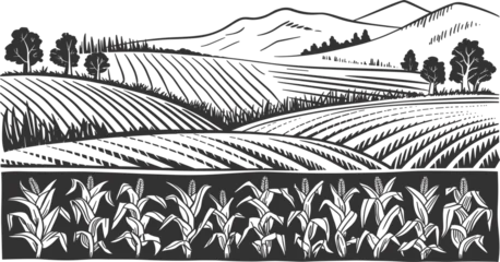 Keuken achterwand Grijs Detailed black vector engraving of a rural agricultural landscape with plowed fields, corn crops, hills, and trees, symbolizing farming and harvest  © Majnur
