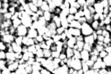 Macro halftone print of clustered pebble-like stones formed by diagonal lines and dots in black on a transparent background.
