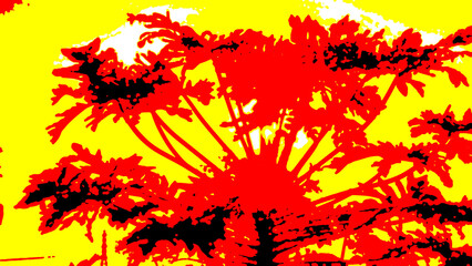 Abstract background: Morning sunlight through a flowering papaya tree in a backyard. Gradient of yellow, red, and black. Central Thailand. Palm trees, sky, nature, blue, tropical, green, trees, summer
