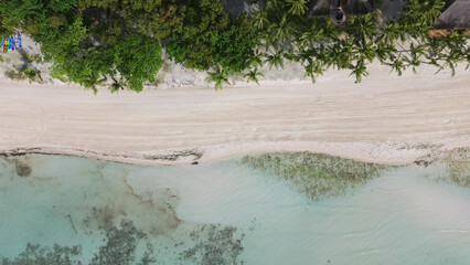 Tropical beach with white sand and palm trees