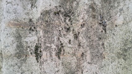Old Weathered Wall with Mold and Stains