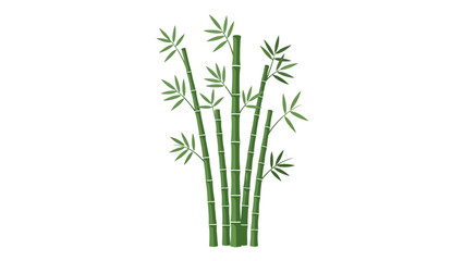 Obraz premium A cluster of green bamboo stalks with leaves against a white background