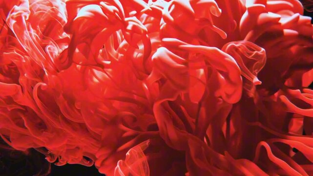 Red mist and blood swirls and flows slowly on a black background