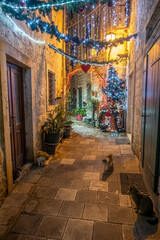 Fototapeta premium Narrow alley with cats decorated with garland and string lights in Kotor