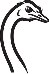 A Beautiful Ostrich Bird Head
