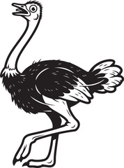 A Beautiful Ostrich Bird