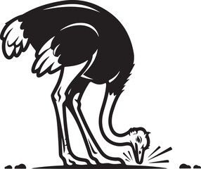 A Beautiful Ostrich Bird