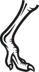 A Beautiful Ostrich Bird's Foot