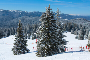 Skiing on ski resort Pamporovo in the Rhodopes mountains in Bulgaria