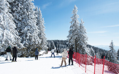 Skiing on ski resort Pamporovo in the Rhodopes mountains in Bulgaria