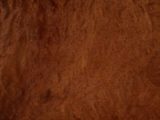 Pommele mahogany veneer with intricate swirling patterns and deep copper tones
