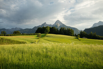 Watzmann Zum Sonnenuntergang Mit Wiese