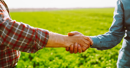 Close-up of two farmers shaking hands against backdrop of wheat field in rays of sunset. Two...