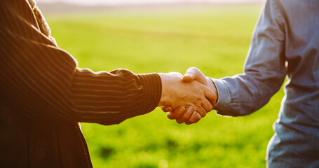 Close-up of two farmers shaking hands against backdrop of wheat field in rays of sunset. Two experienced agronomists shake hands while standing in green field. Business concept, agreements. © maxbelchenko