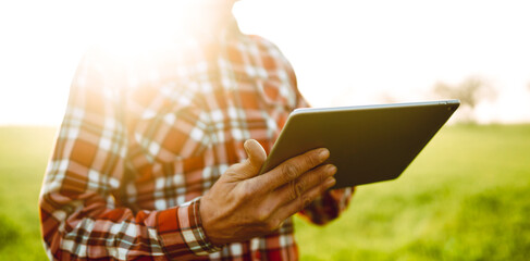 Obraz premium View from behind. A farmer stands in green field holding digital tablet. Agronomist works in field on sunny day, checking growth and quality. Concept of horticulture, technology. Agriculture.