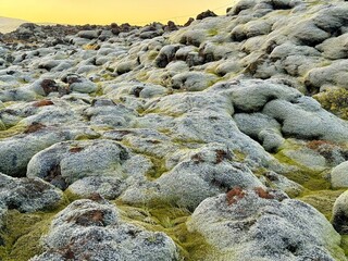 Moss-Covered Lava Field in Eldhraun, South Iceland, Unique Volcanic Landscape Formed by Ancient Eruption