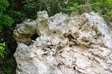 Limestone rocks formed by erosion in Varadero, Cuba