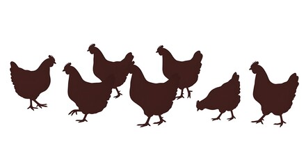 Fototapeta premium Silhouette of several chickens on a white background poultry vector illustration
