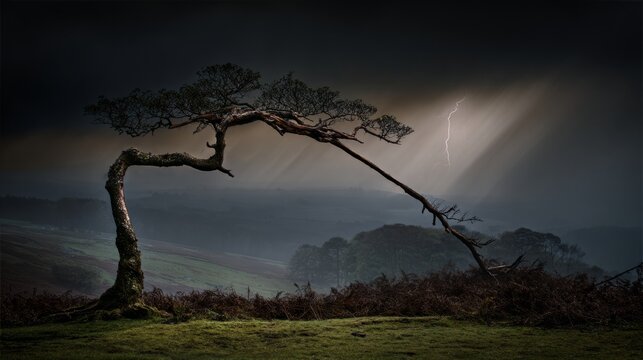 predictability. A solitary tree struck by lightning during a storm with dramatic sky. ESG reports, sustainability campaigns, designed for sustainability communications and ESG reporting.
