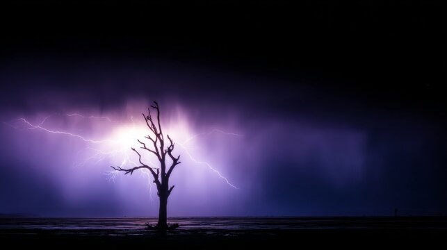 predictability. A solitary tree struck by lightning during a storm with dramatic sky. ESG reports, sustainability campaigns, designed for sustainability communications and ESG reporting.
