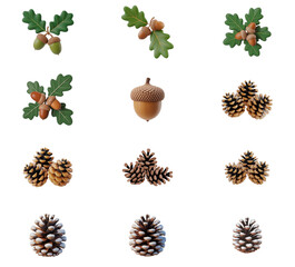 png set of icons depicting acorns, oak leaves, and pine cones, representing nature and autumnal themes.
