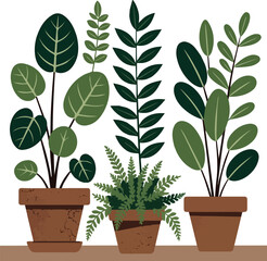 Create a kinds of deferent Green houseplant in terracotta pot vector art with white background.