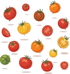 Create a kinds of deferent natural Tomatoes in flight vector art with white background.
