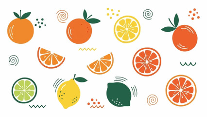 Colorful Citrus Fruits Collection with Orange Lemon Lime and Grapefruit Slices.
