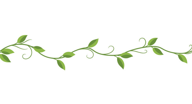Seamless green vine with leaves and tendrils forming a beautiful horizontal border element for decoration on a white background.