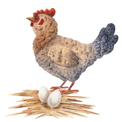Watercolor composition featuring a hen standing near two eggs on straw, perfect for children projects, educational materials, farm themed designs, packaging, rustic decor. Hand Painted illustration
