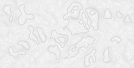 Advanced Cartographic Terrain Illustration with Precision Contour Mapping, Organic Elevation Curves, and Natural Ridge-Valley Flow Structures