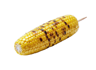 Grilled Corn on the Cob with Skewer, Isolated
