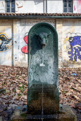 Primo piano di Toret, toretto, piccolo toro. Fontana tipica di Torino, Italia. Fontanella per dissetarsi.