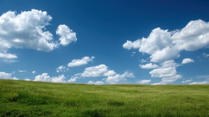 Obraz premium A wide green field extends under a clear blue sky filled with white clouds. The setting shows no buildings or people in sight. The scene captures daylight in nature.